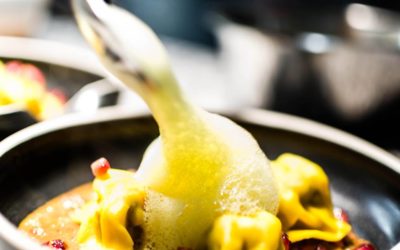 Advent & Weihnachten